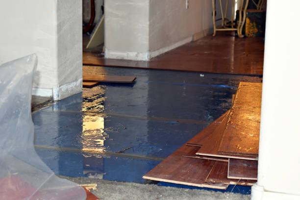 Professional Basement Flood Cleanup technician working in Oakwood, IL